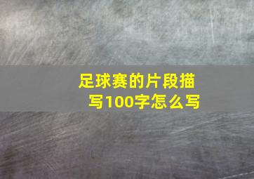 足球赛的片段描写100字怎么写