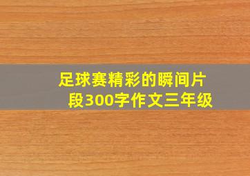 足球赛精彩的瞬间片段300字作文三年级