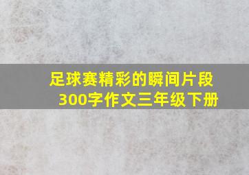 足球赛精彩的瞬间片段300字作文三年级下册