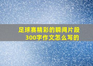 足球赛精彩的瞬间片段300字作文怎么写的