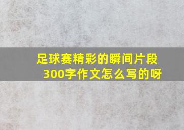 足球赛精彩的瞬间片段300字作文怎么写的呀