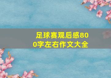 足球赛观后感800字左右作文大全