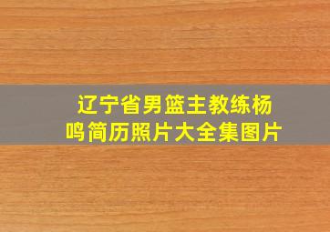 辽宁省男篮主教练杨鸣简历照片大全集图片