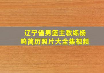 辽宁省男篮主教练杨鸣简历照片大全集视频