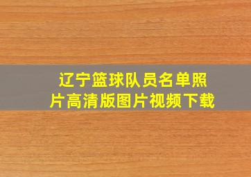 辽宁篮球队员名单照片高清版图片视频下载