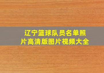 辽宁篮球队员名单照片高清版图片视频大全