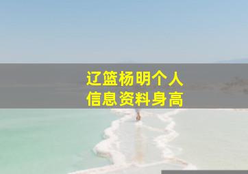 辽篮杨明个人信息资料身高