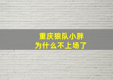 重庆狼队小胖为什么不上场了