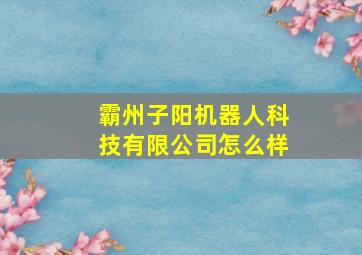 霸州子阳机器人科技有限公司怎么样