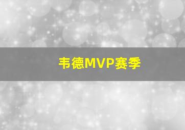 韦德MVP赛季