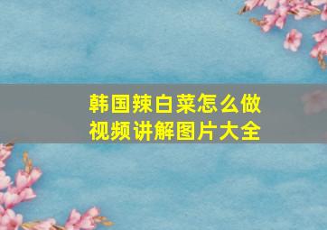 韩国辣白菜怎么做视频讲解图片大全