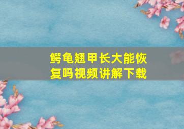 鳄龟翘甲长大能恢复吗视频讲解下载