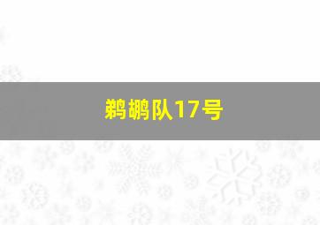 鹈鹕队17号